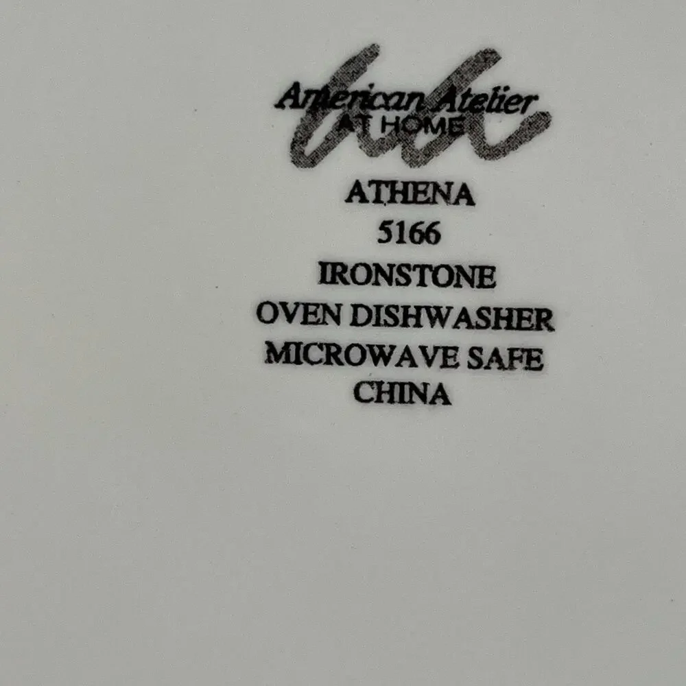 American Atelier Athena 5166 Ironstone Dinner Plates 11.5” Set of 2